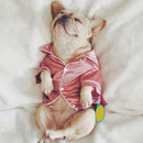 Pijama Pet | Para Cachorro